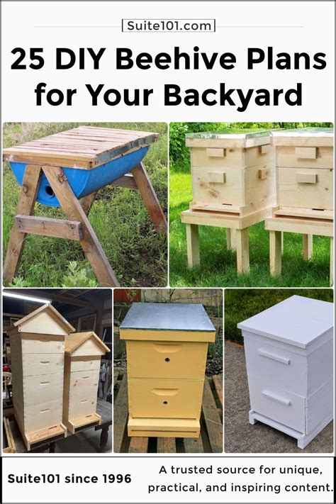 Hive Builds .